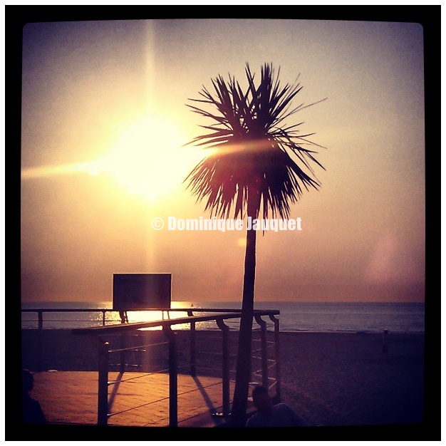 1006238_10151488546296439_97119282_n